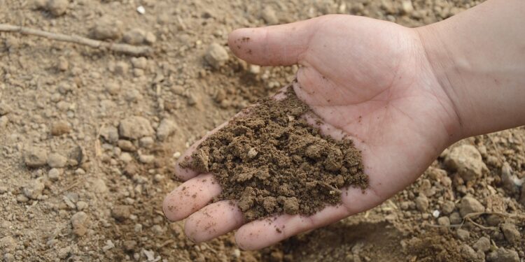 Soil Analysis